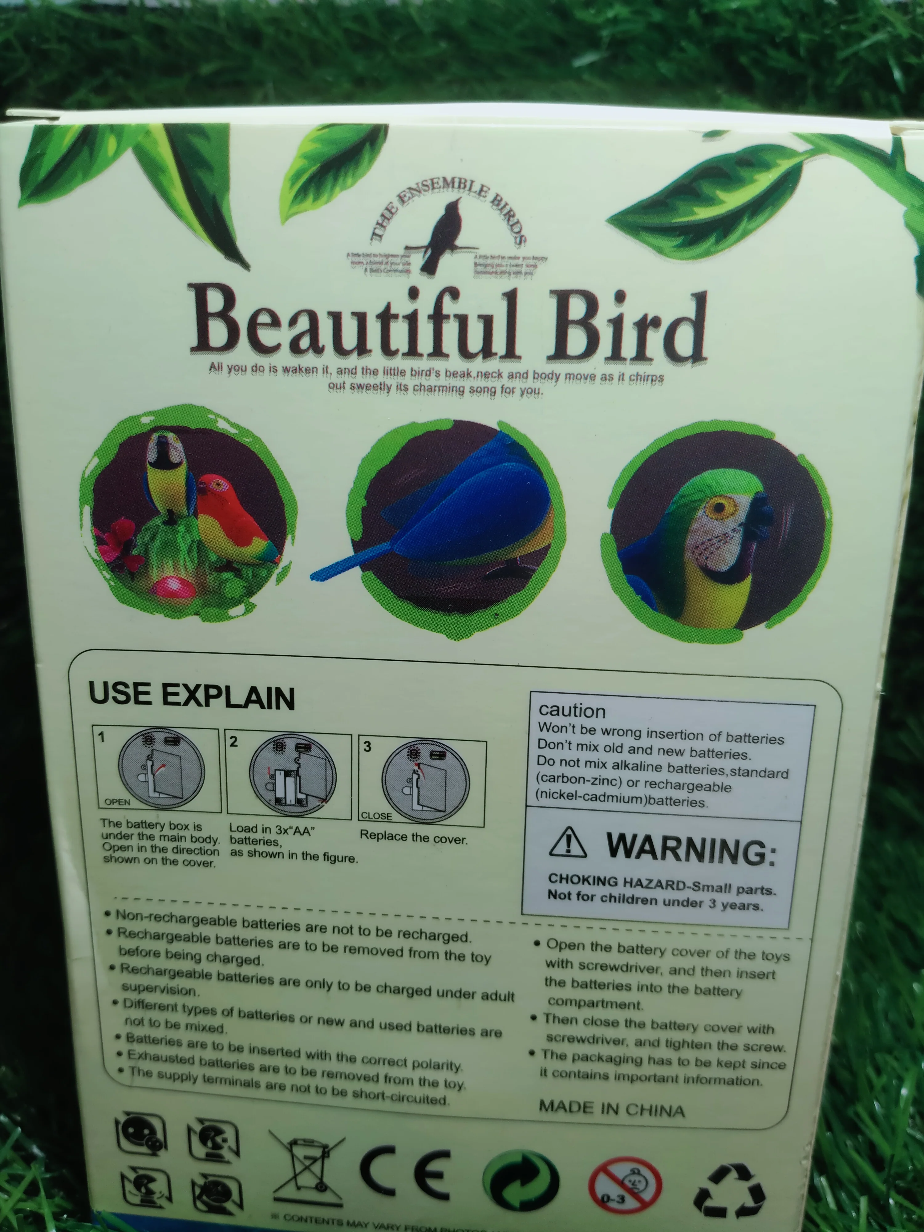 Musical singing birds - Image 4