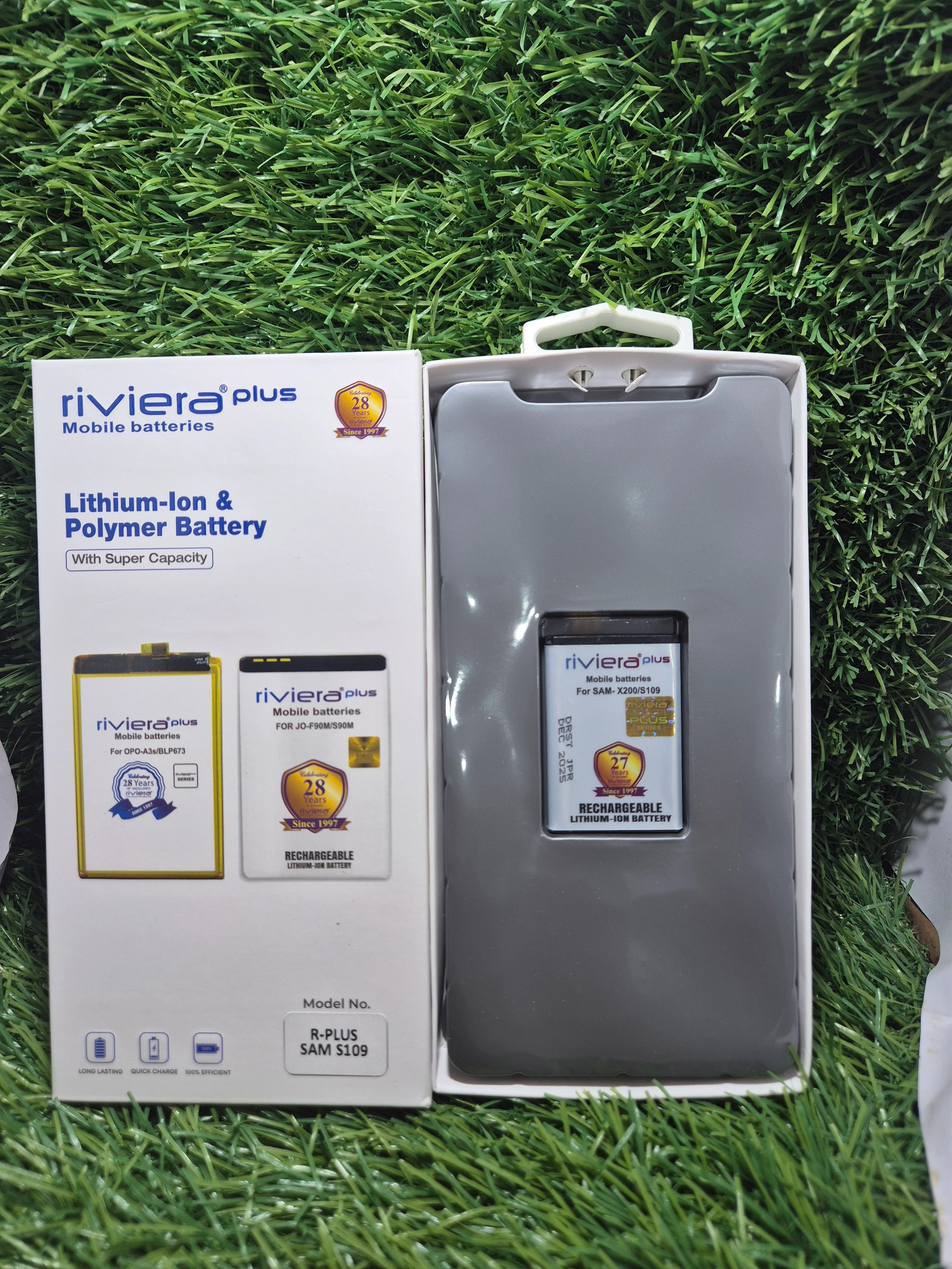 Riviera X200 Plus Battery